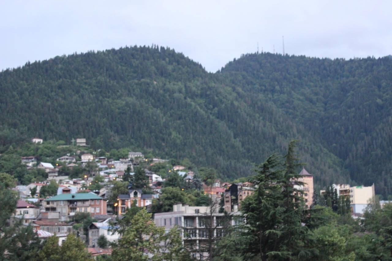 Diasamidzeebi Apartment Borjomi Exterior foto